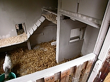 Ulrike Linnenbrink / pixelio.de