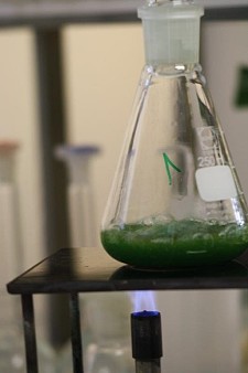 Gefäß mit grüner Flüssigkeit auf einem Tisch