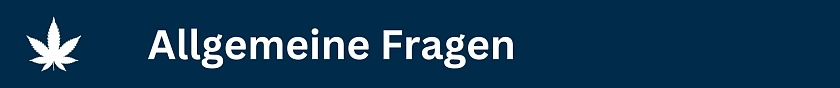 Allgemeine Fragen