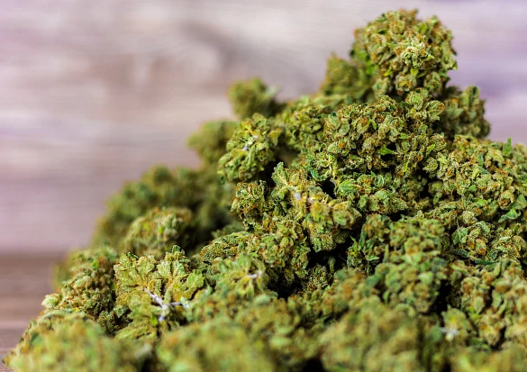 Cannabis aufgehäuft