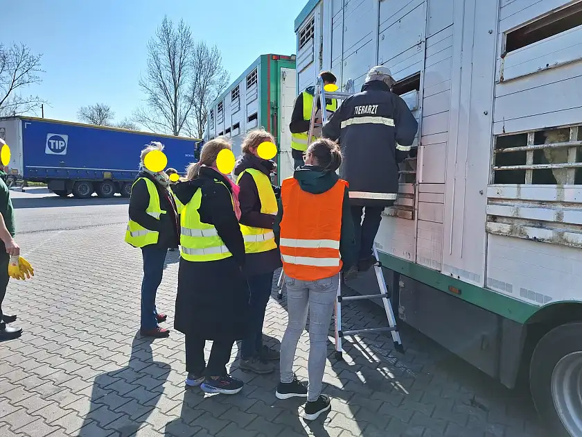 Tierärzte und die Polizei kontrollieren einen Tiertransporter
