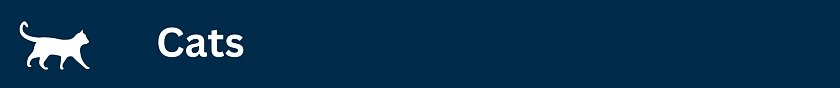 Cats