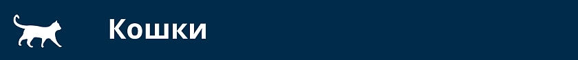 Кошки