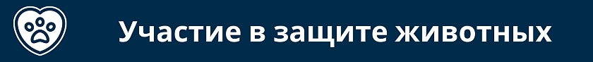 Участие в защите животных