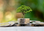 Aufgereihte 2-Euro Münzen, aus denen ein Baum wächst