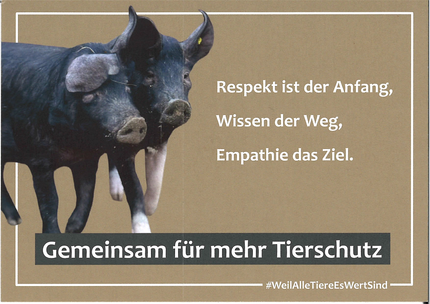 Zwei Schweine. Daneben der Text: Respekt ist der Anfang, Wissen der Weg, Empathie das Ziel. Gemeinsam für mehr Tierschutz. #WeilAlleTiereEsWertSind.
