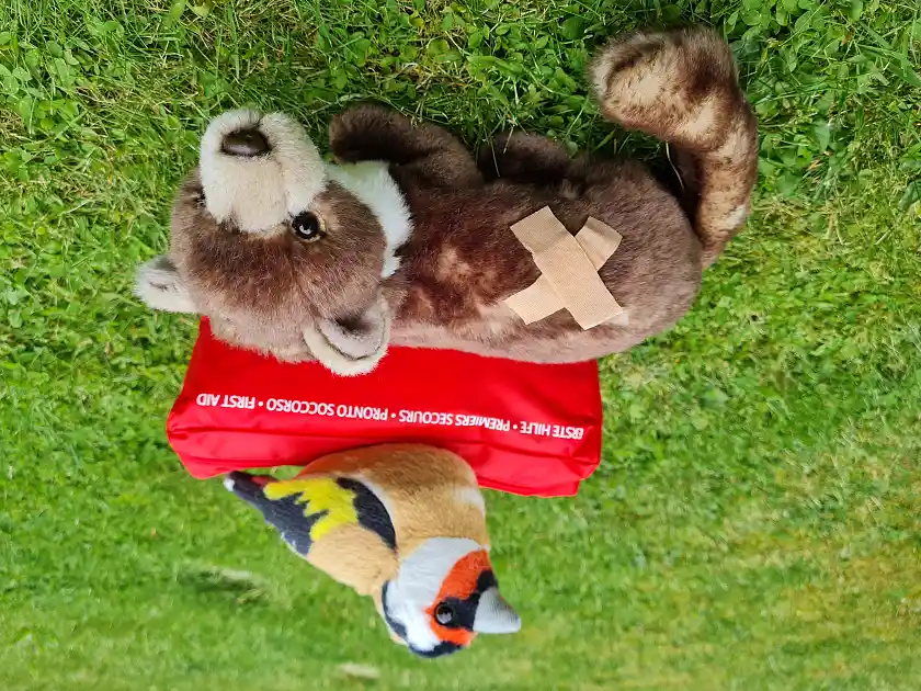 Zwei Kuscheltiere, Stieglitz und Marder, sitzen an einer Erste-Hilfe-Tasche. Der Marder hat ein Heftpflaster auf dem Fell