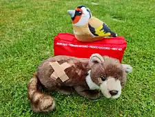 Zwei Kuscheltiere, Stieglitz und Marder, sitzen an einer Erste-Hilfe-Tasche. Der Marder hat ein Heftpflaster auf dem Fell