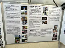 Foto der Ausstellung im Papageienschutz-Centrum Bremen e.V.