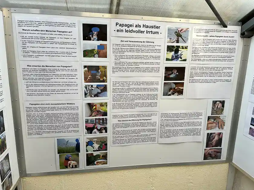 Foto der Ausstellung im Papageienschutz-Centrum Bremen e.V.