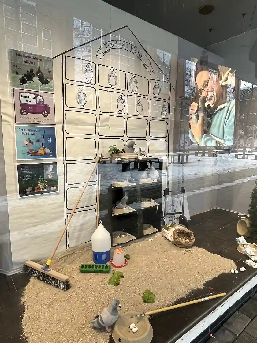 Schaufensterdekoration mit Taubeninfos