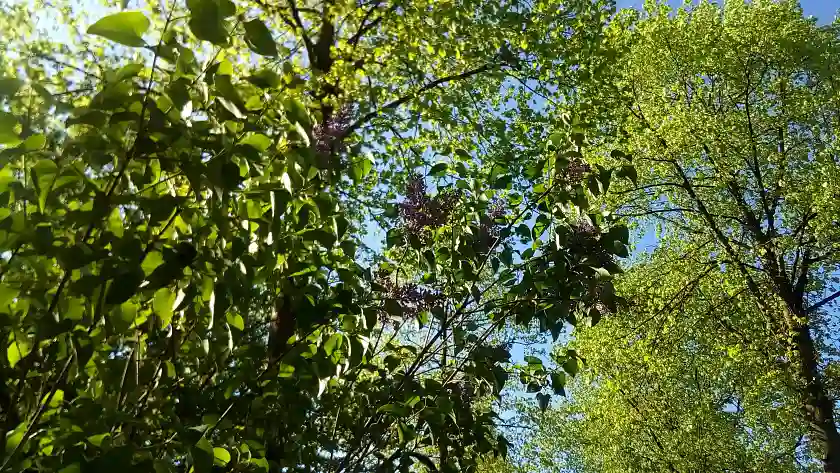 Bewegung und Entspannung