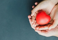 Hände halten ein Herz