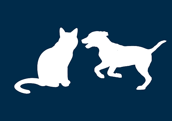 Versorgung von Haustieren