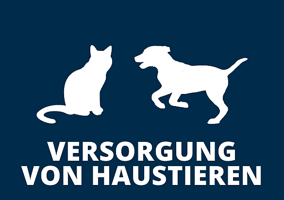 Es sind ein Hund und eine Katze zu sehen.